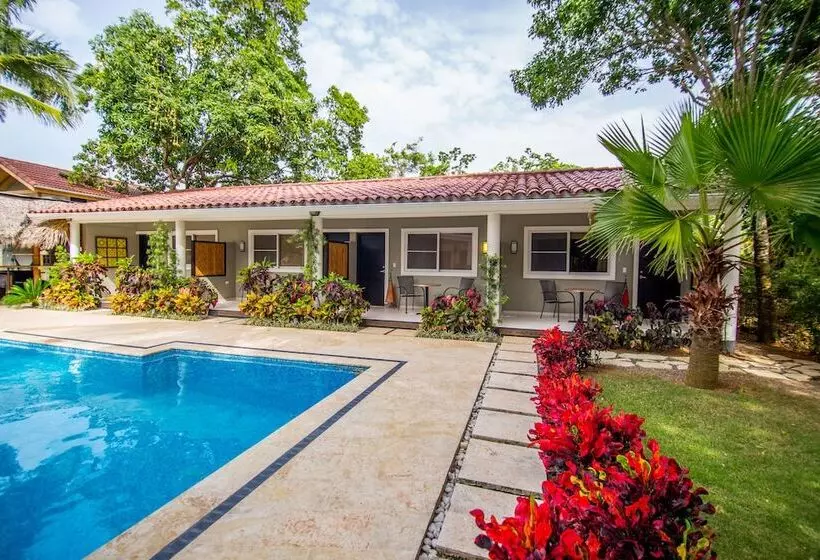 هتل Colibri Boutique