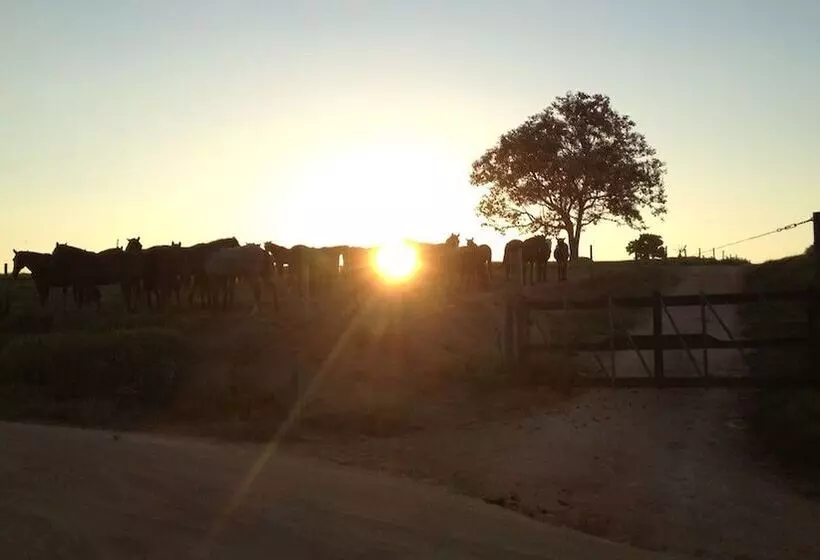 Hotelli Fazenda Cana Verde