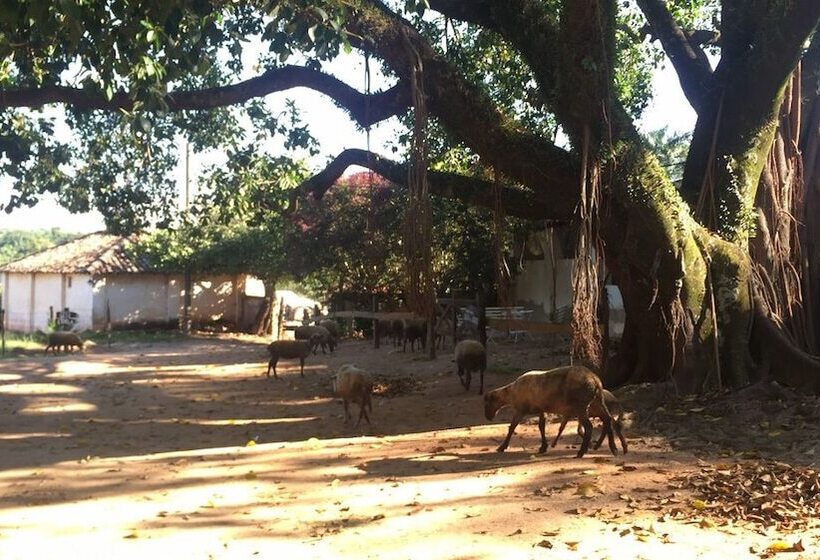 בית מלון כפרי Fazenda Cana Verde