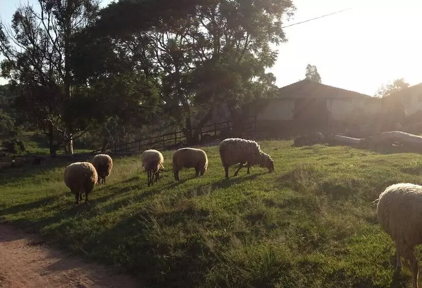 Hotelli Fazenda Cana Verde