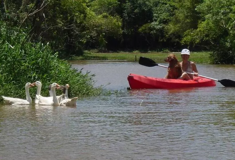 Hotelli Fazenda Cana Verde