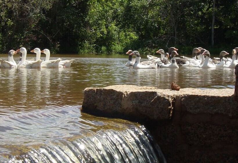 בית מלון כפרי Fazenda Cana Verde