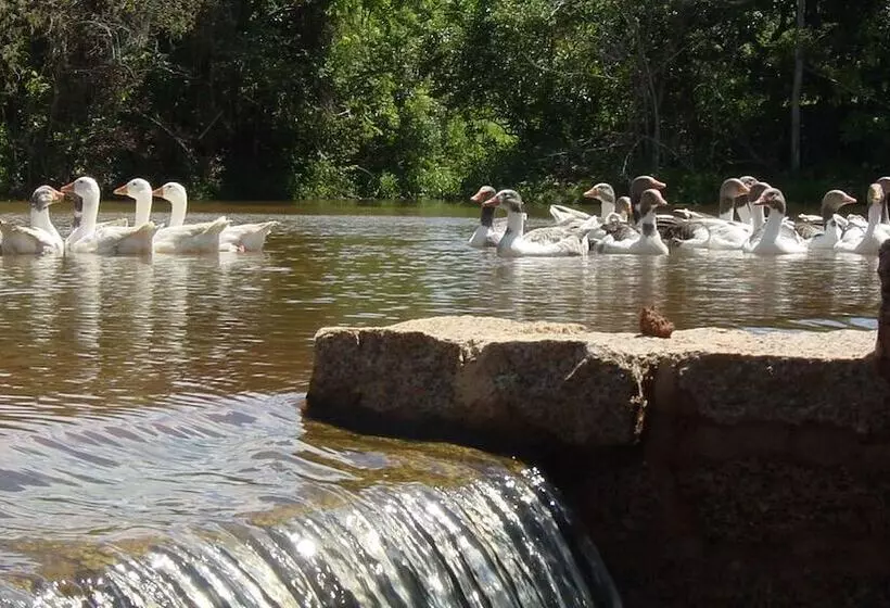 Hotelli Fazenda Cana Verde