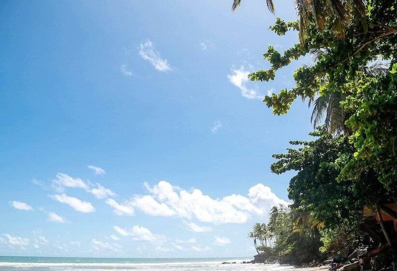 בית מלון כפרי Pousada Oceania