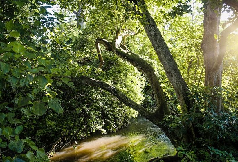 בית מלון כפרי Rivertrees Country Inn