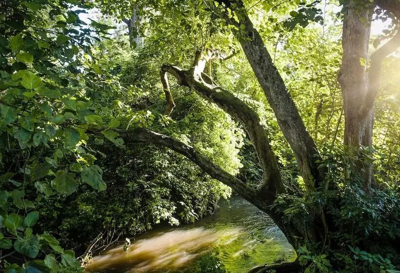 هتل Rivertrees Country Inn