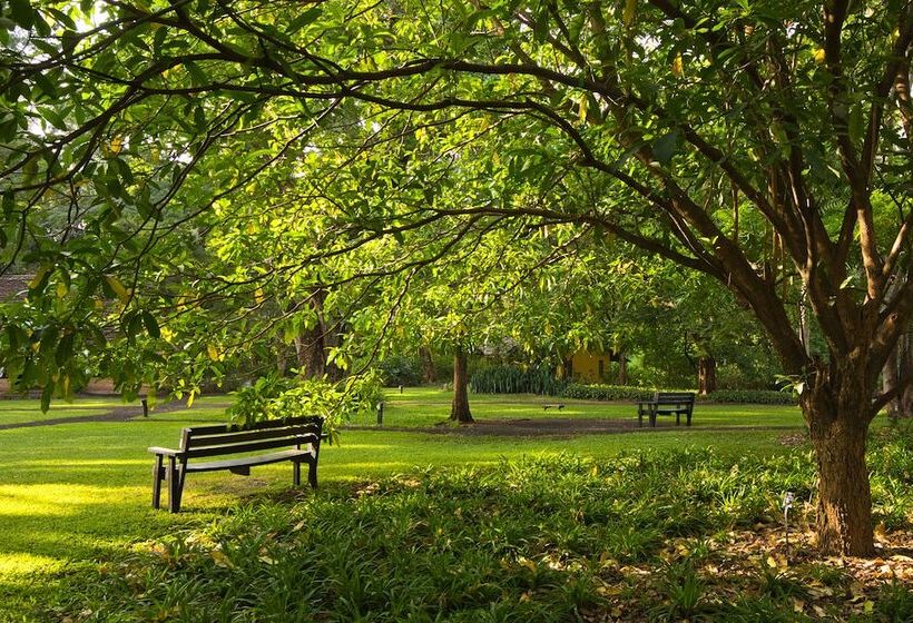 בית מלון כפרי Rivertrees Country Inn