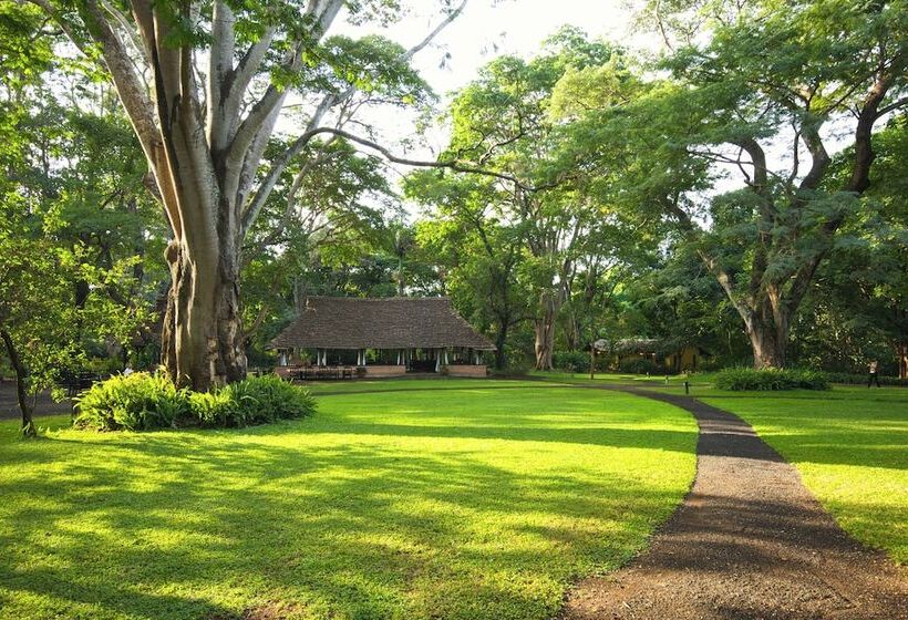 בית מלון כפרי Rivertrees Country Inn