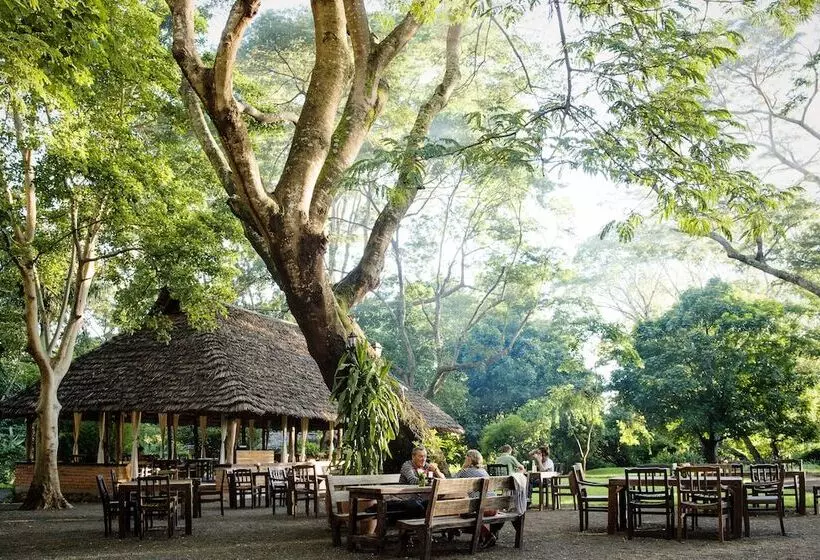 هتل Rivertrees Country Inn