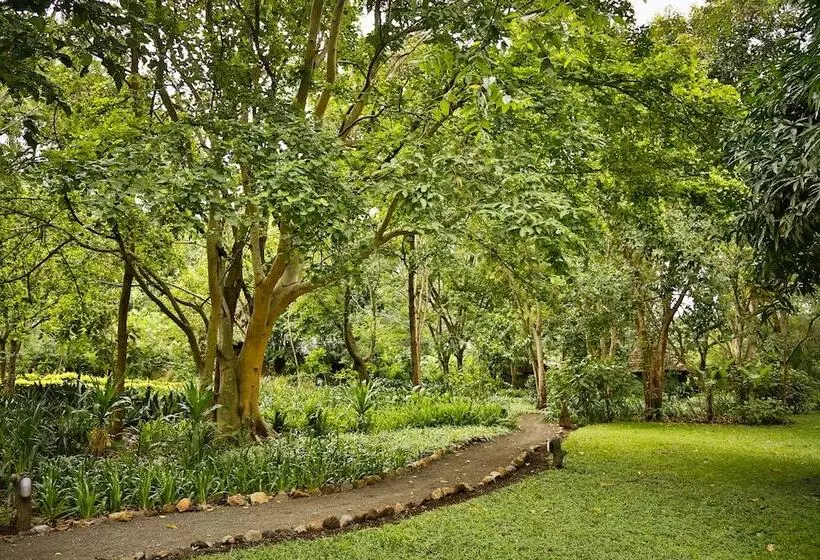 هتل Rivertrees Country Inn