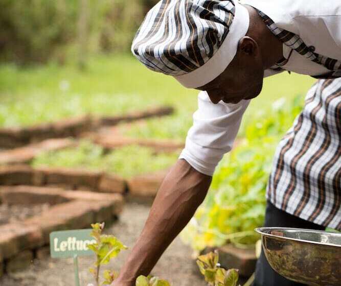 בית מלון כפרי Rivertrees Country Inn