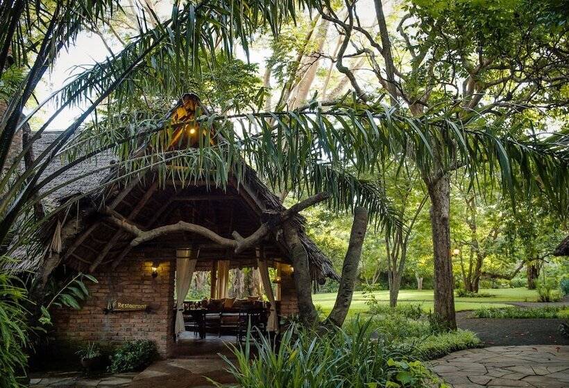 בית מלון כפרי Rivertrees Country Inn