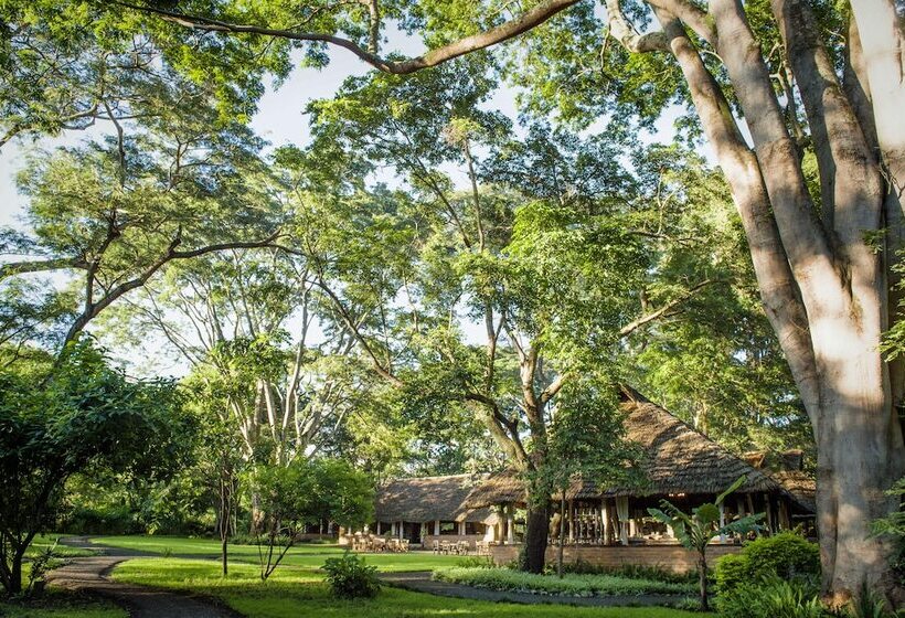 בית מלון כפרי Rivertrees Country Inn