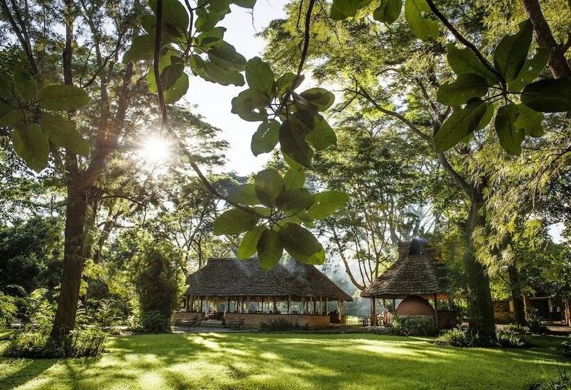 בית מלון כפרי Rivertrees Country Inn