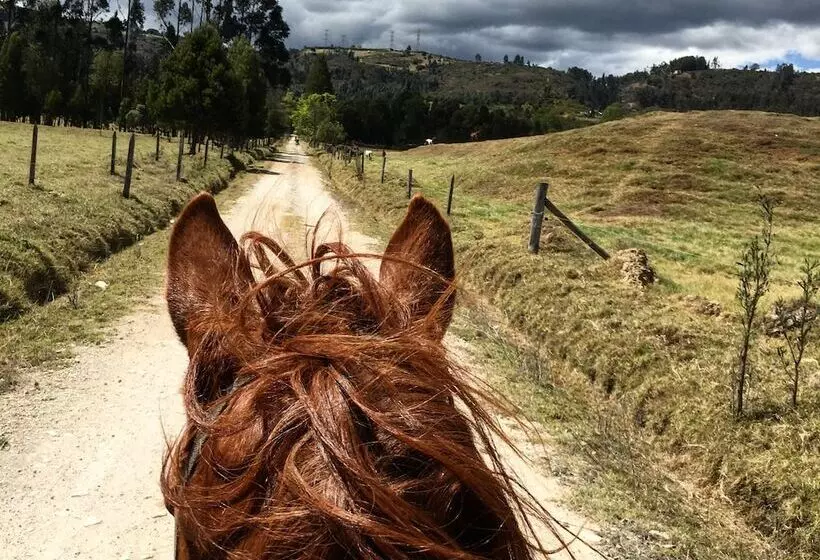 ペンション Casa De Hospedaje Vivaio