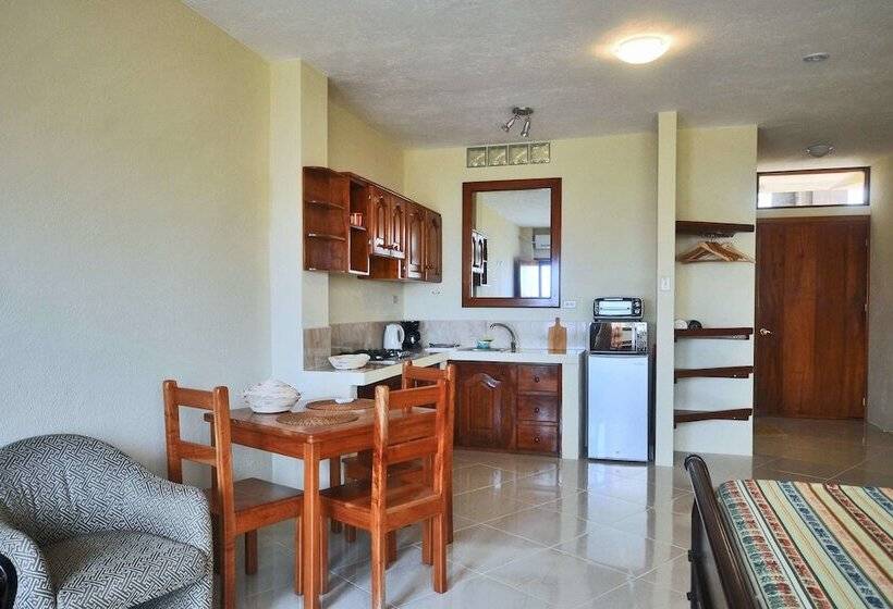 Пансион Galeodan Suites