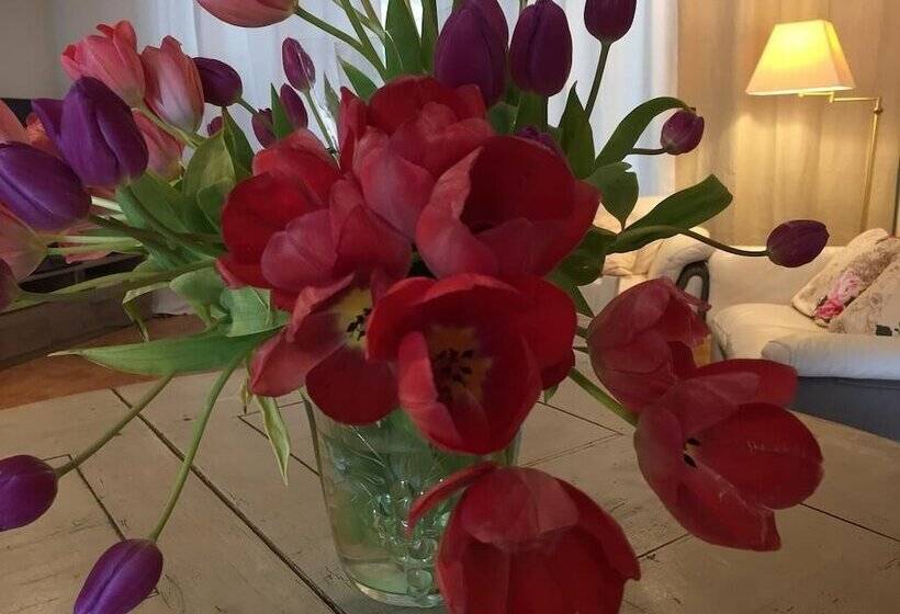 Пансион Navynet