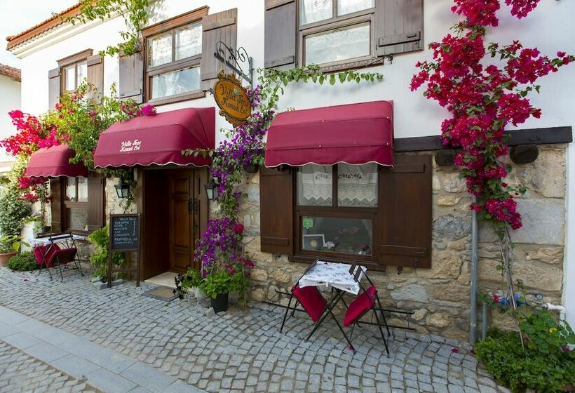 Pensió Sigacik Villa Teos Konuk Evi