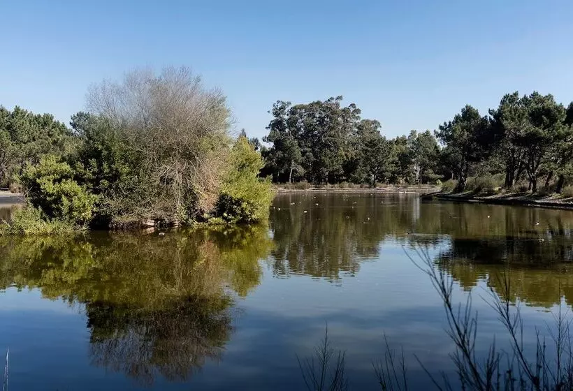 Majatalo The Sea Beach House