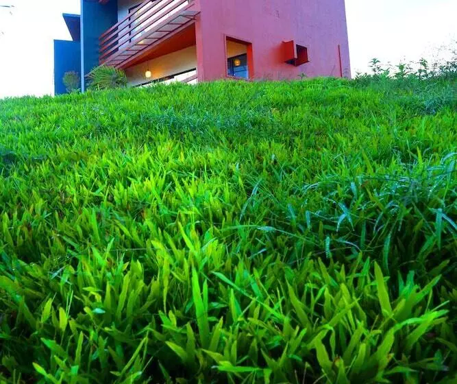 Petals Resorts Wayanad