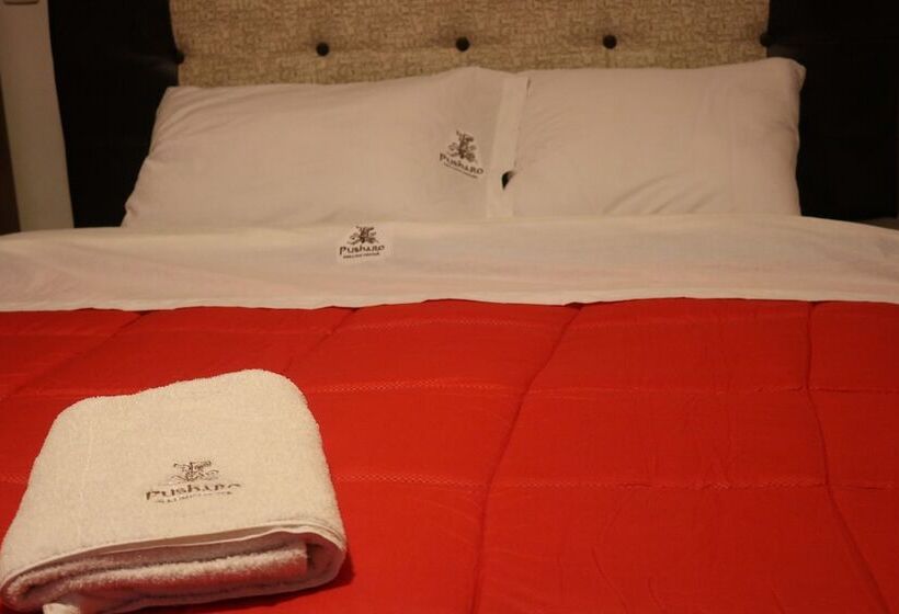 Pusharo Healing Center   Hostel