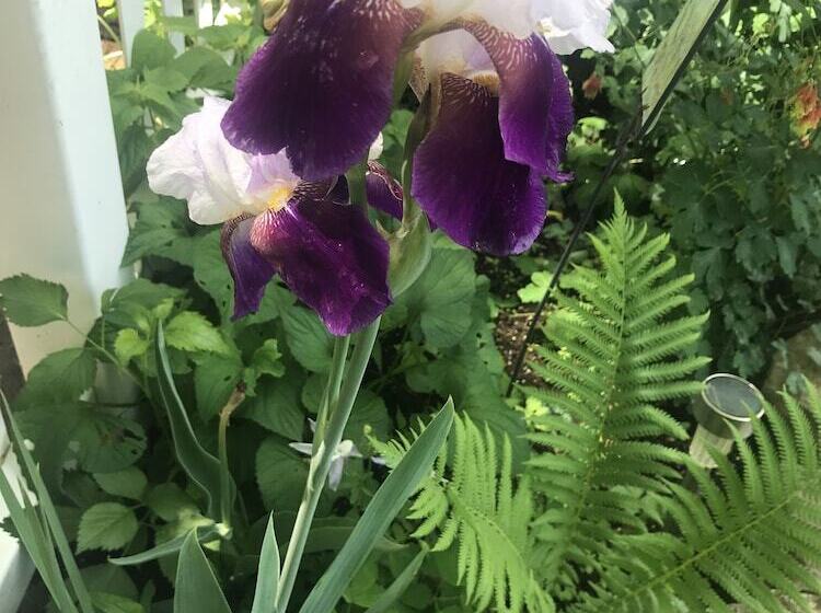 ベッドアンドブレックファースト Historic Iron Horse Inn