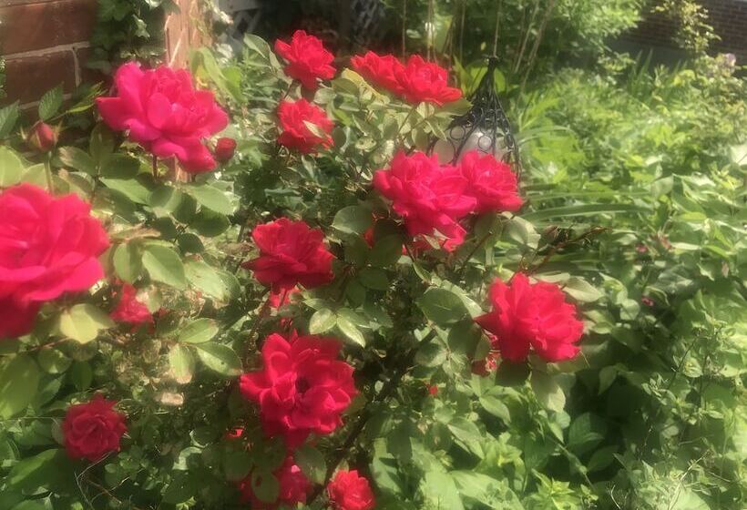 ベッドアンドブレックファースト Historic Iron Horse Inn