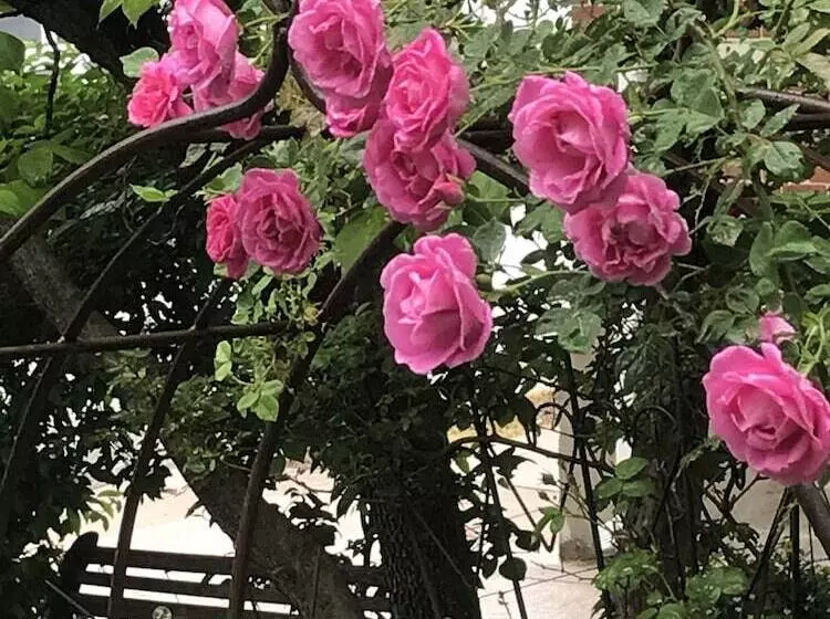 Aamiaismajoitus (B&B) Historic Iron Horse Inn