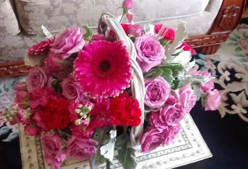 ベッドアンドブレックファースト Historic Iron Horse Inn