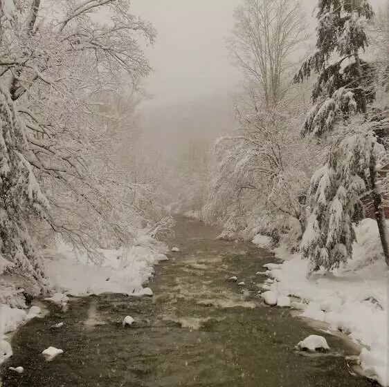 Aamiaismajoitus (B&B) The Rosemont Inn