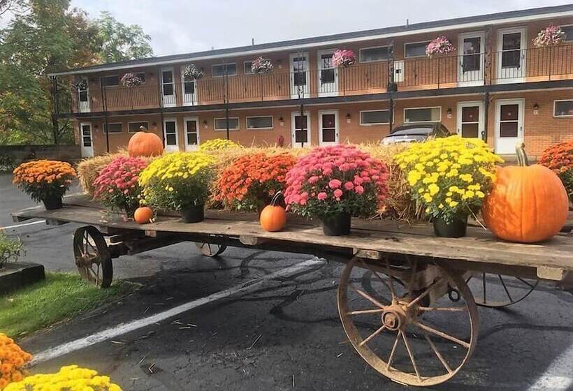 Cianci S Motel And Suites