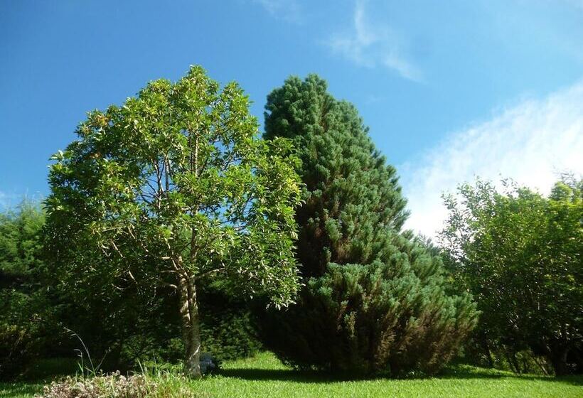 Отель Pousada La Villa Del Valle