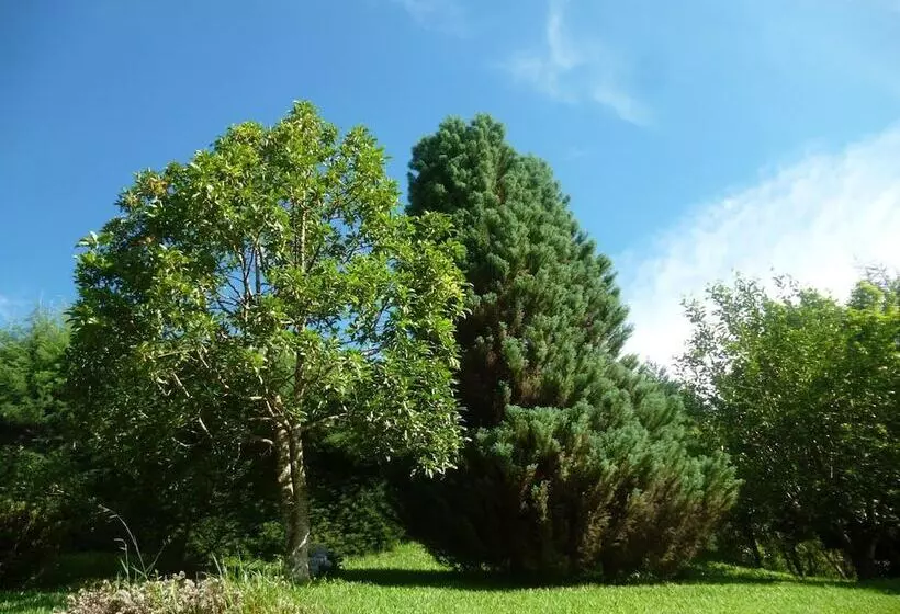 ホテル Pousada La Villa Del Valle