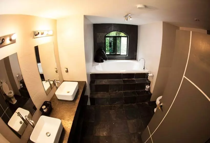 ホテル Show Pony Beach Resort