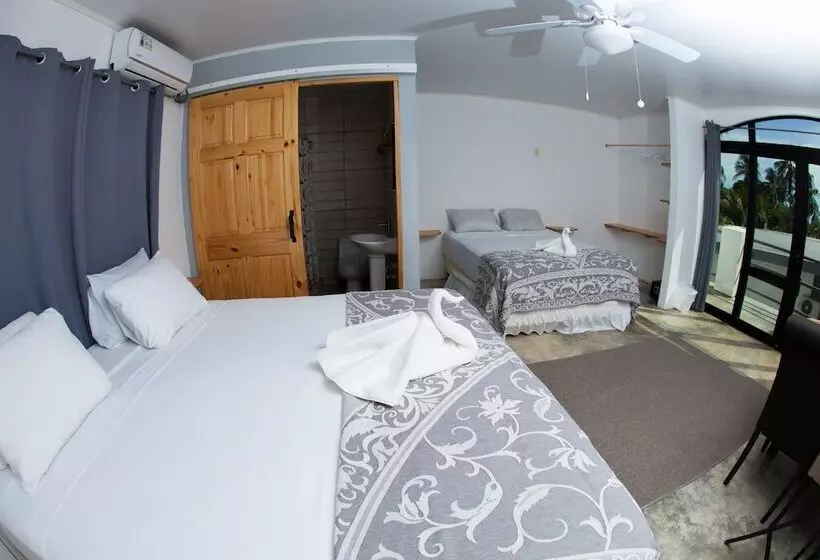 ホテル Show Pony Beach Resort