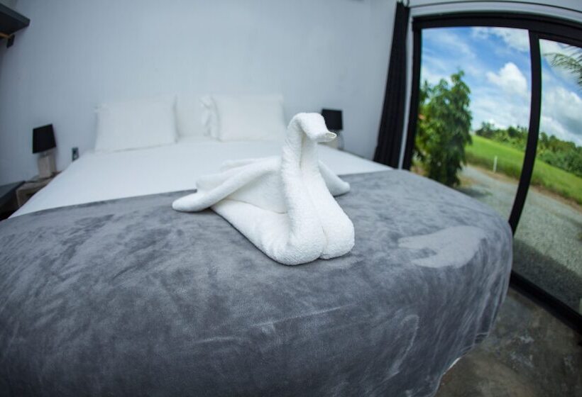 Hotel Show Pony Beach Resort