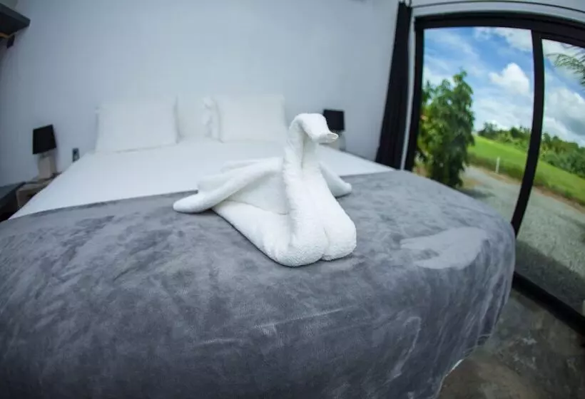 ホテル Show Pony Beach Resort