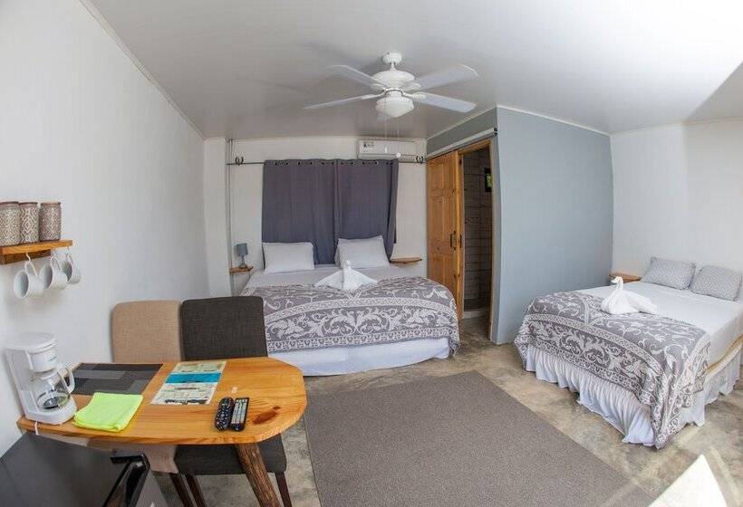 Hotel Show Pony Beach Resort