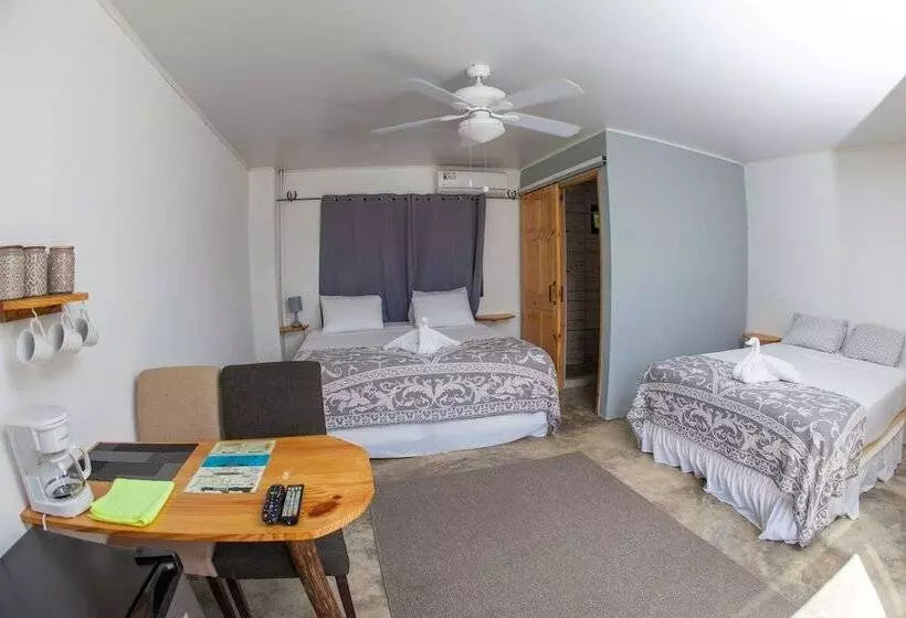 ホテル Show Pony Beach Resort