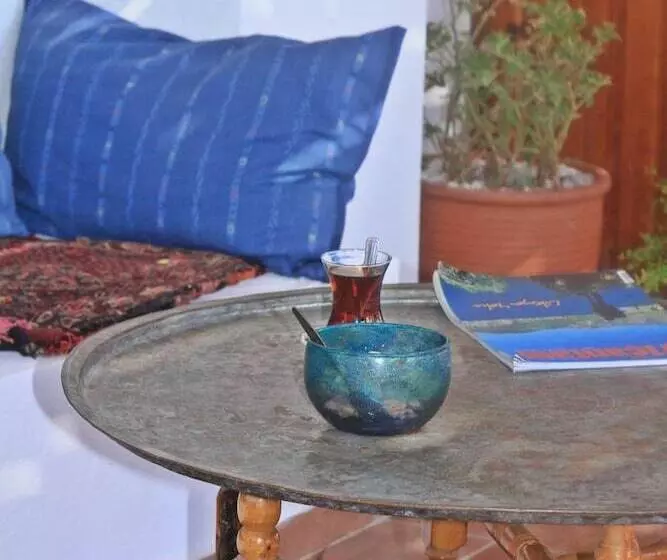 هتل Turk Evi
