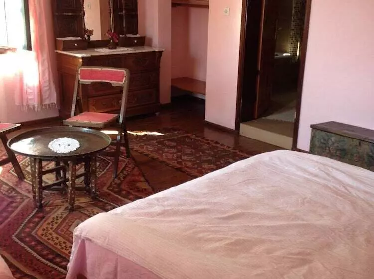 هتل Turk Evi