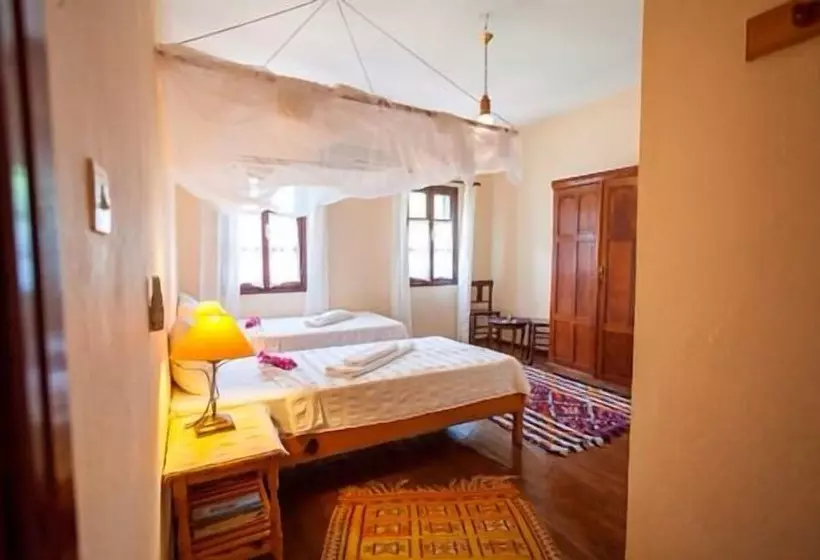 هتل Turk Evi