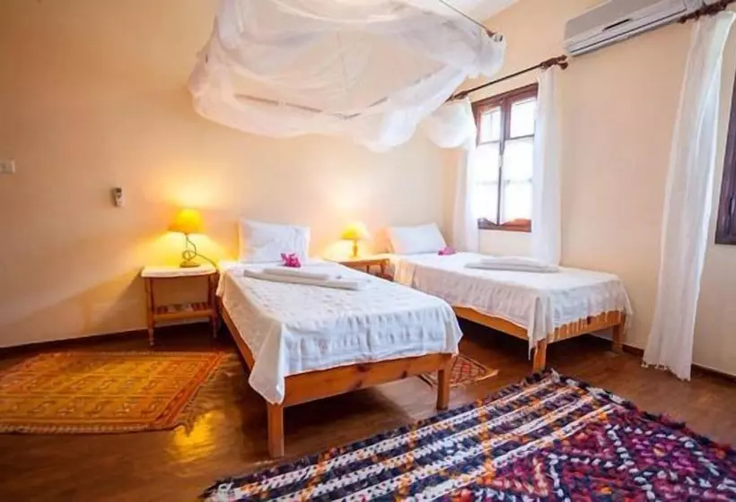 هتل Turk Evi