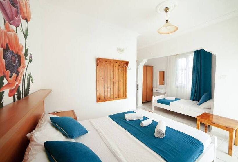 ホテル Zeybek 2 Pension & Apart