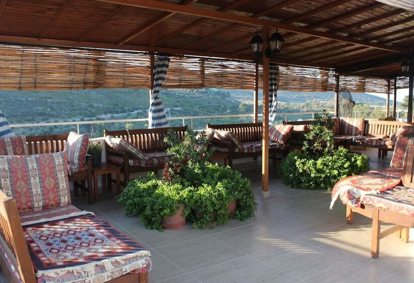 ホテル Zeybek 2 Pension & Apart