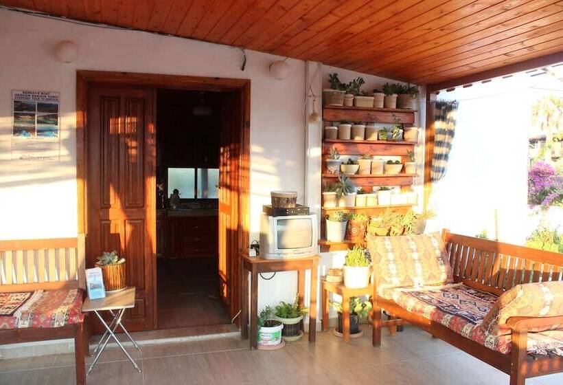 ホテル Zeybek 2 Pension & Apart