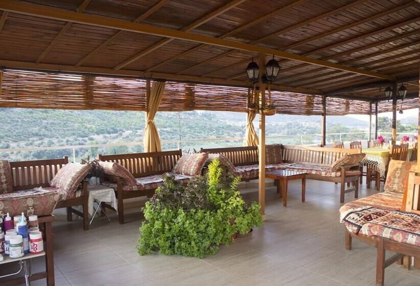 ホテル Zeybek 2 Pension & Apart