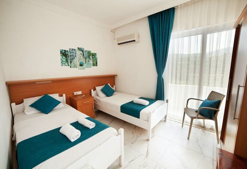 ホテル Zeybek 2 Pension & Apart