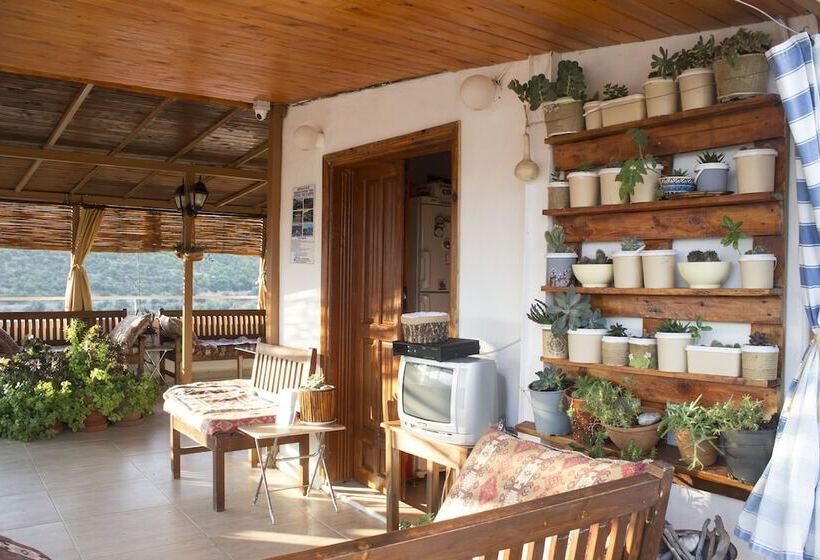 ホテル Zeybek 2 Pension & Apart