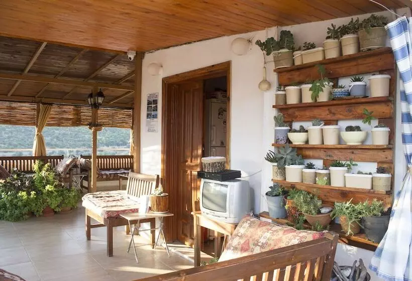 Hotelli Zeybek 2 Pension & Apart